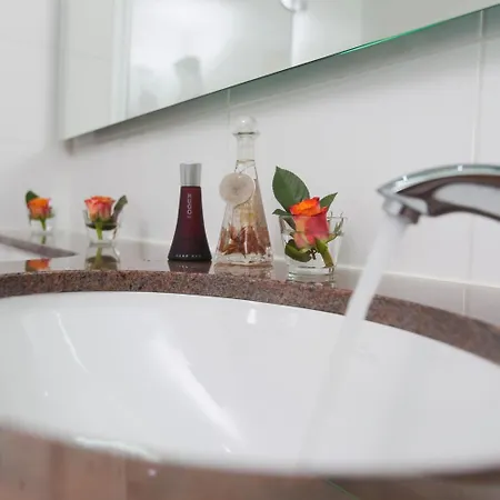 Hotel-restaurant Birkenhof Hotel Bad Soden-Salmuenster