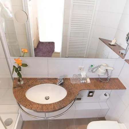 Hotel-restaurant Birkenhof