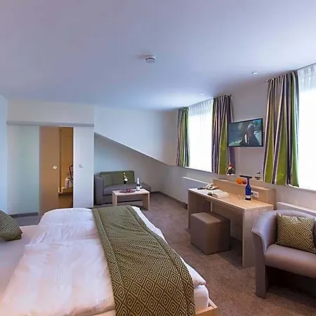 Hotel-restaurant Birkenhof Hotel Bad Soden-Salmünster