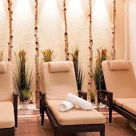 Hotel Hotel-restaurant Birkenhof Bad Soden-Salmuenster