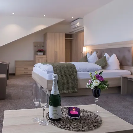 Hotel-restaurant Birkenhof Hotel