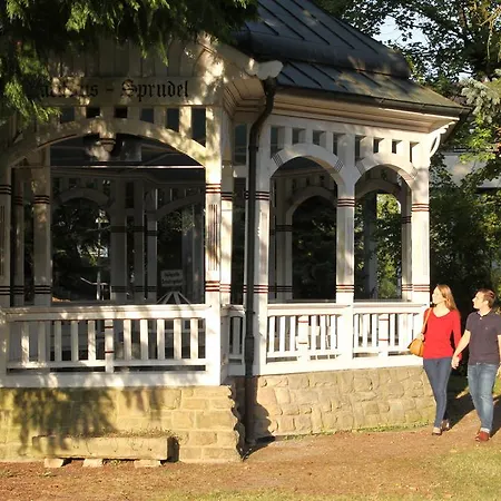 Hotel-restaurant Birkenhof 4*