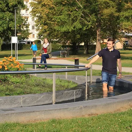 Hotel-restaurant Birkenhof ホテル
