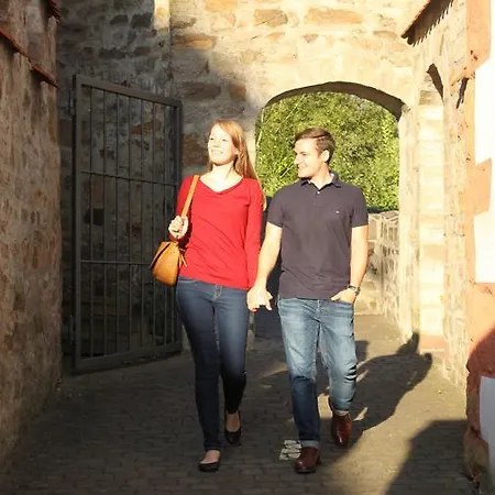 Hotel-restaurant Birkenhof Hotel 4*