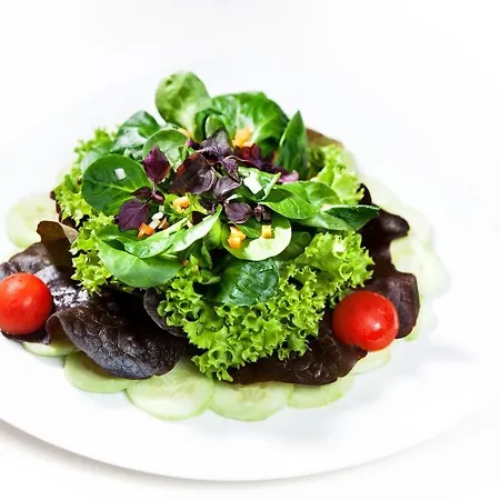 فندق Hotel-restaurant Birkenhof