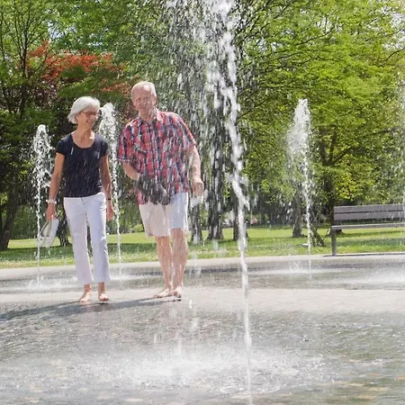 Hotel-restaurant Birkenhof Hotel Bad Soden-Salmuenster