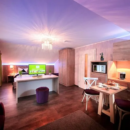 ホテル Hotel-restaurant Birkenhof Bad Soden-Salmünster