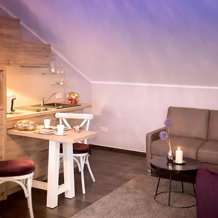 ホテル Hotel-restaurant Birkenhof 4*