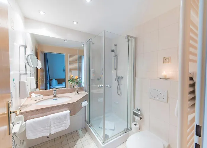 Hotel-restaurant Birkenhof Hotel