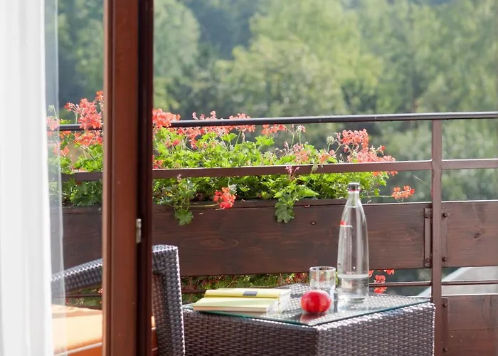 Hotel-restaurant Birkenhof 4* Bad Soden-Salmünster