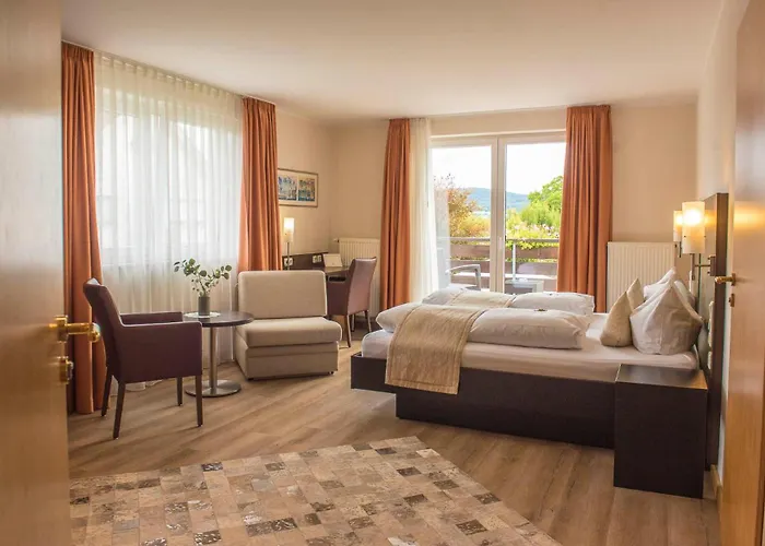 Hotel Hotel-restaurant Birkenhof Bad Soden-Salmünster