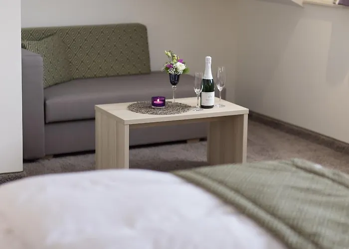 Hotel-restaurant Birkenhof Hotel Bad Soden-Salmünster