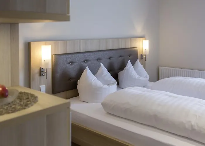 Hotel-restaurant Birkenhof Hotel