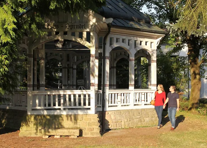 Hotel-restaurant Birkenhof 4*