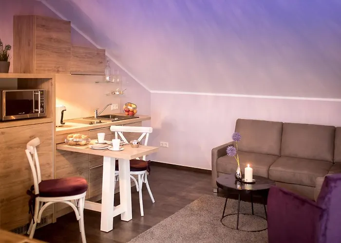 Hotel Hotel-restaurant Birkenhof 4*